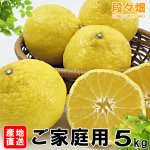 画像2: 愛媛県産 媛小春（ひめこはる） ご家庭用５kg (2)