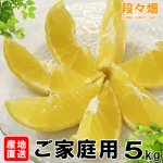 画像3: 愛媛県産 媛小春（ひめこはる） ご家庭用５kg (3)