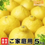 画像4: 愛媛県産 媛小春（ひめこはる） ご家庭用５kg (4)